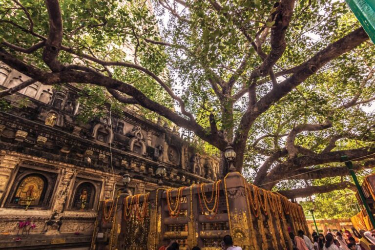 Bodh Gaya: The Enlightenment Under the Bodhi Tree